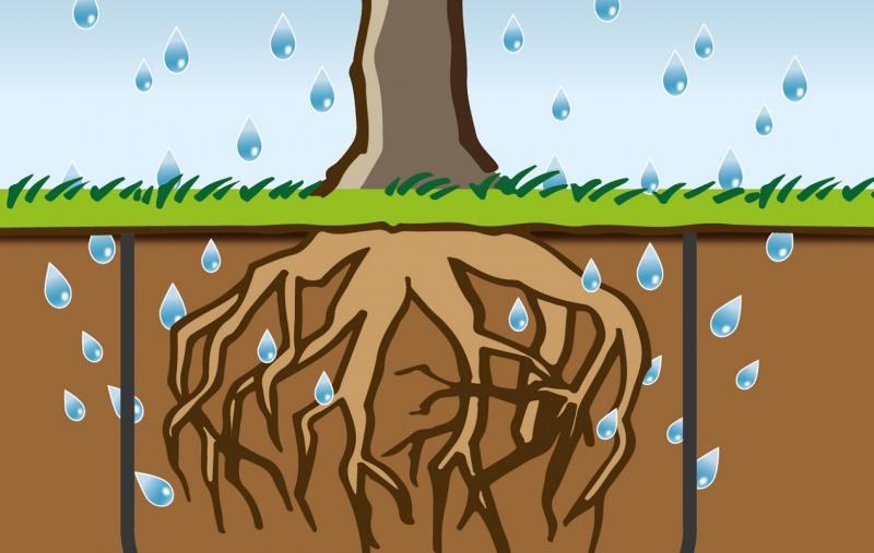 PLANTEX® ROOTPROTECTOR