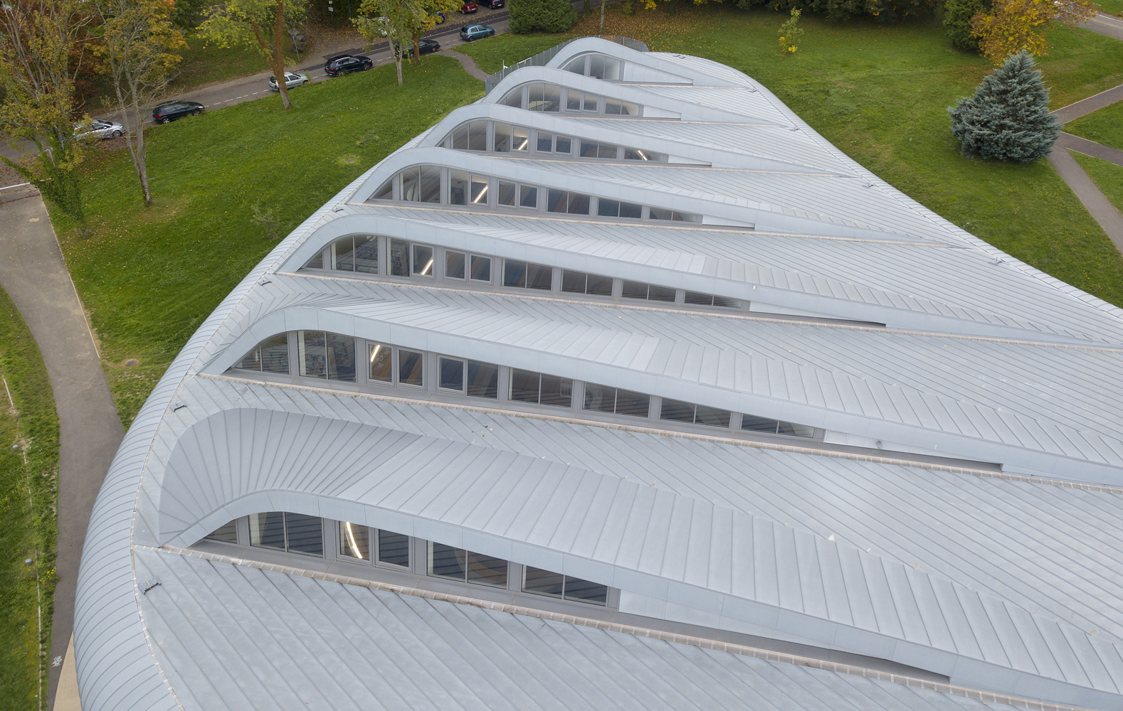 AZENGAR 3R ZINC® COP