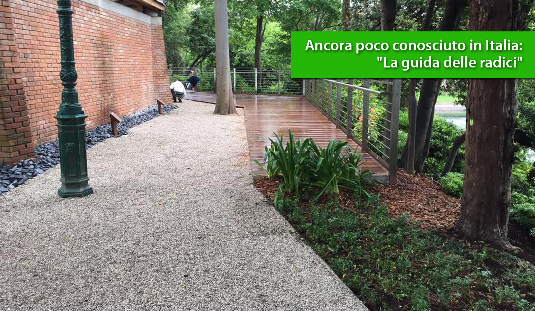 Ancora poco conosciuto in Italia: "La guida delle radici"