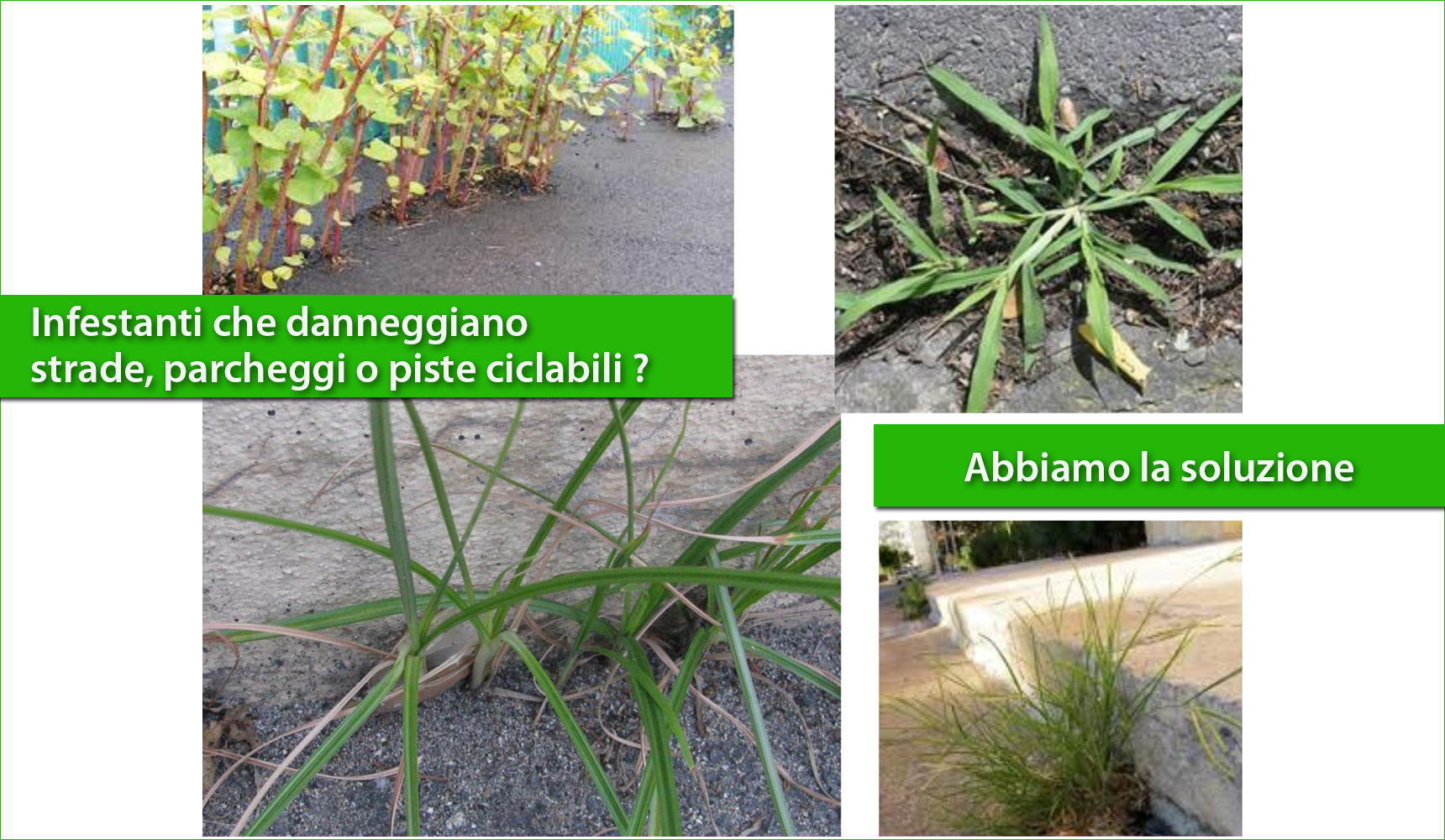 Piste ciclabili, parcheggi, aree pedonali danneggiate dalle infestanti?