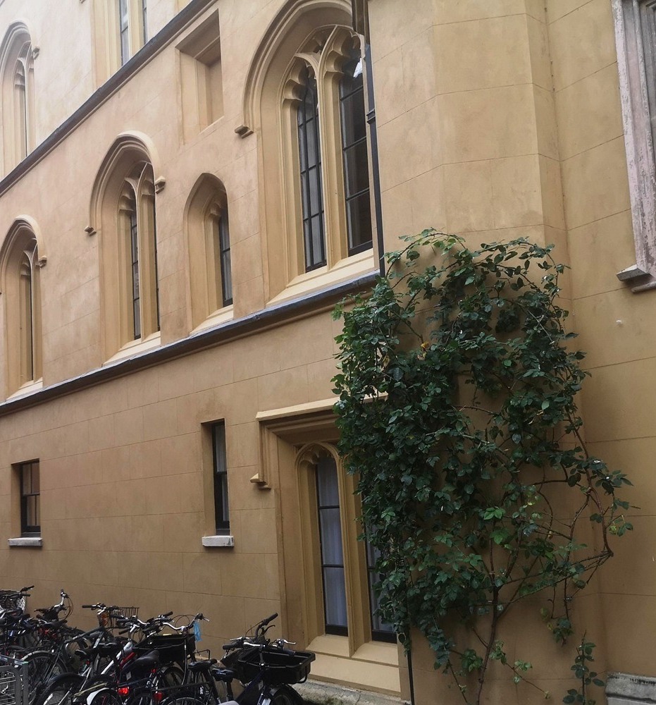 Ciclo per la pietra.