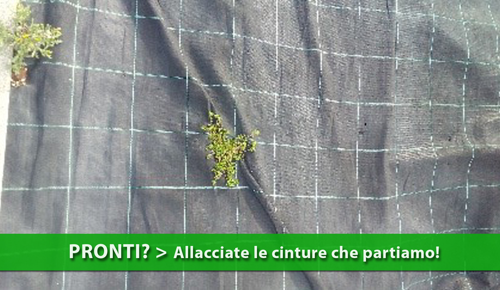 Mettiti alla prova per qualche minuto, proverò a chiarirti le idee