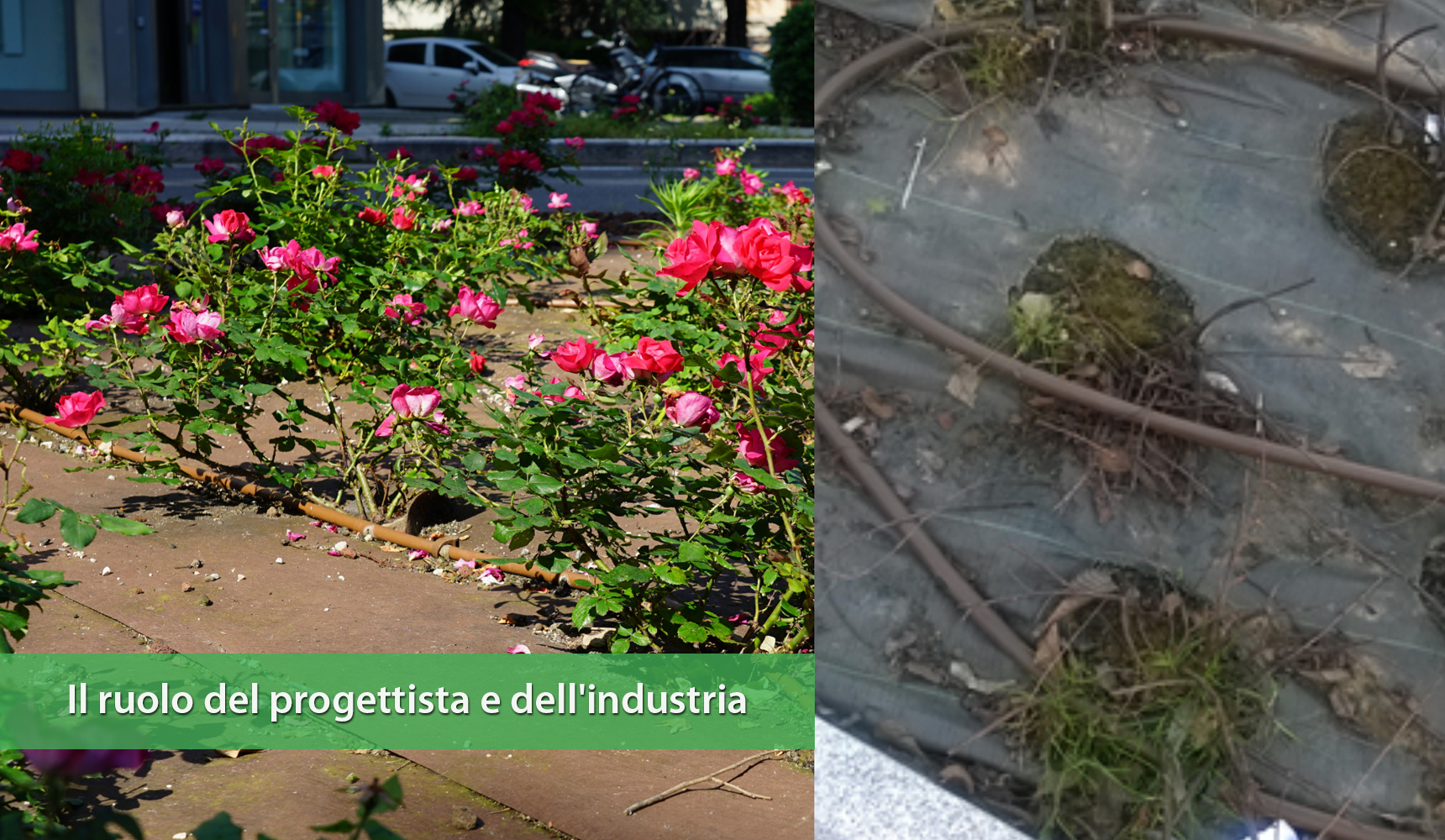 Plastica nel verde: come conciliare prestazioni e sostenibilità