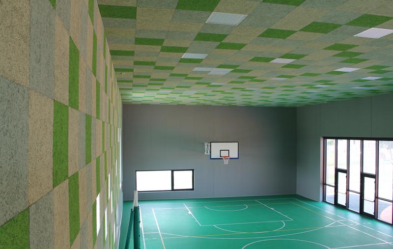 ACOUSTIC ANTIPALLA SOFFITTO C6027 AB25X-S4