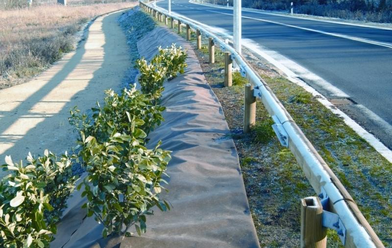 Radici, separazione e filtrazione, pacciamatura