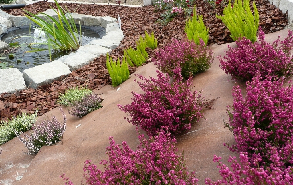 PLANTEX by Herbatech srl